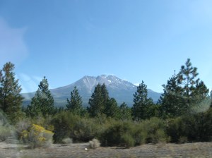 Mt. Shasta